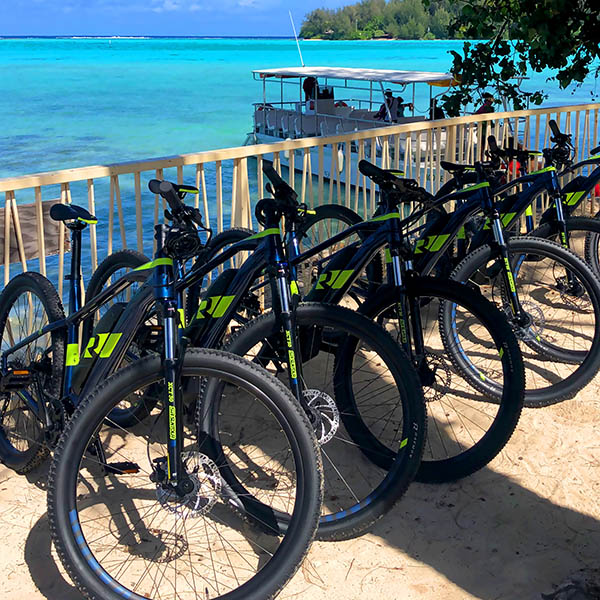 e-Bikes